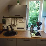 Auga Homes